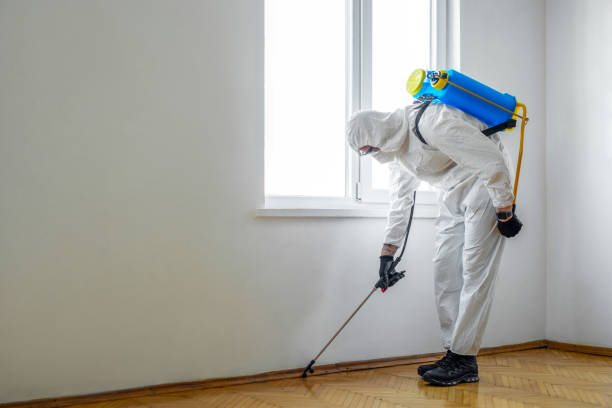 Best Spider Control Near Me  in Keyport, NJ