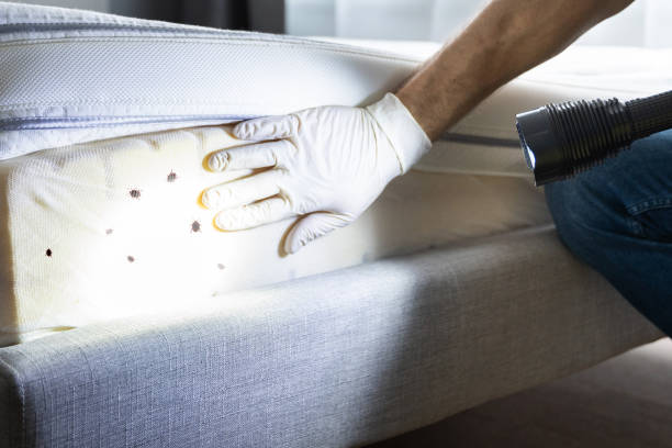 Best Pest Inspection Near Me  in Keyport, NJ