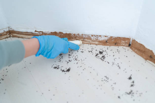 Best Best Pest Control Companies  in Keyport, NJ